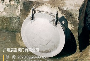 不銹鋼弧面拍門(mén)、拱形拍門(mén)